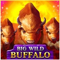 game logo by Belatra Games on baxter-bet.eu.com